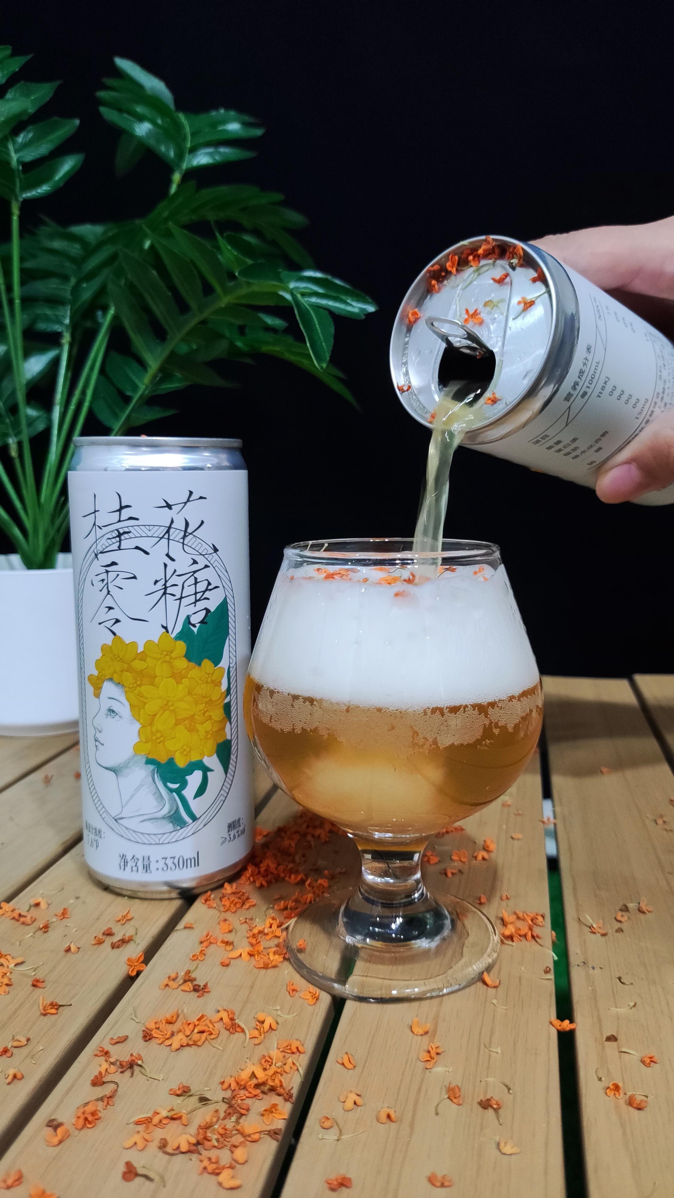 桂花0糖啤酒 桂花啤酒 零糖啤酒 罐裝啤酒